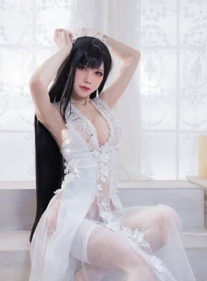 铁血战士大战异形2